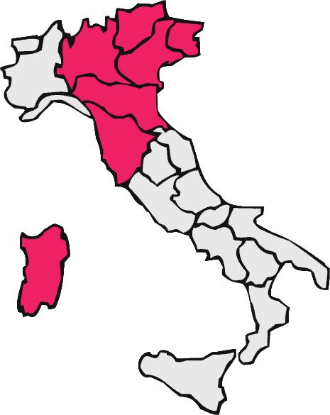 Fase 3 del progetto Tenuto conto che le attività di rilevazione: anche alla luce dei temi affrontati, sono rilevanti per il miglioramento della rete trasfusionale italiana in termini di qualità e