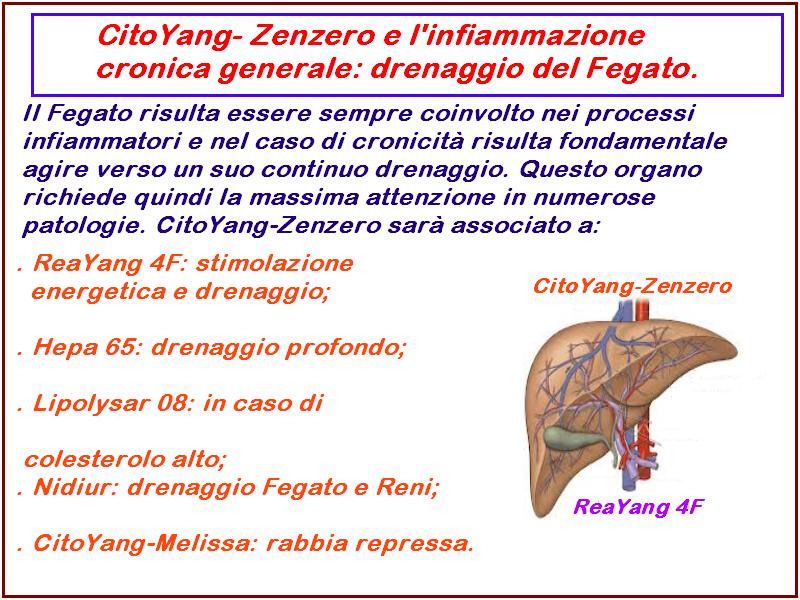 Schema 4 Lo schema 4 riassume le terapie dirette al Fegato, in caso di infiammazione cronica.