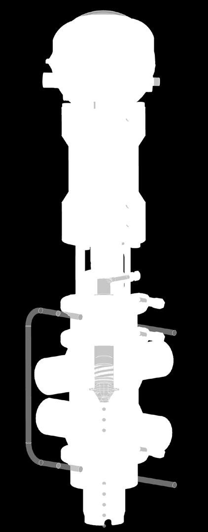Infatti, il circuito ausiliario di lavaggio permette, tramite l utilizzo di prodotti sanificanti, la completa pulizia degli otturatori telescopici delle valvole a doppia sede.