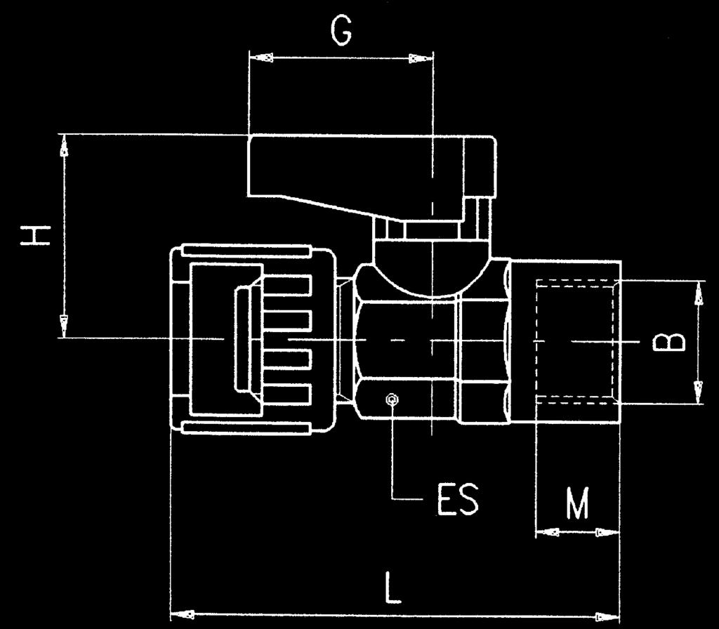 0647000002 B DN ES M 1/8 5.5 14-15 7.4 44 19 21 10 1/4 5.5 14-15 11 49.