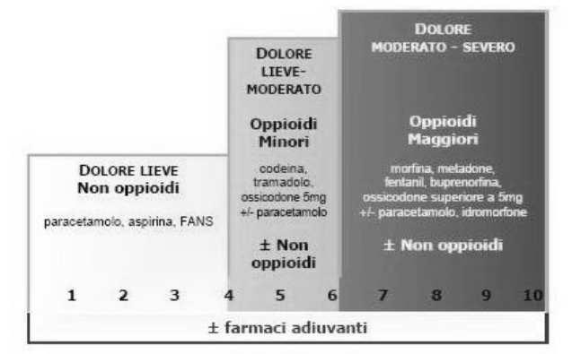 Scala analogica visiva (VAS) Tipi di Scale del dolore La VAS ( scala analogica-visiva)si presenta graficamente sotto forma di una linea orizzontale di 10 cm, orientata da sinistra a destra.