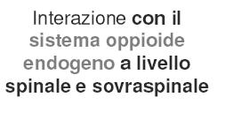 Non ha una attività antiaggregante e non presenta gli effetti avversi dei