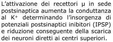 trattamento del dolore cronico oncologico e non Razionale di una scelta Morfina Fentanyl Ossicodone Buprenorfina Gli oppioidi forti non