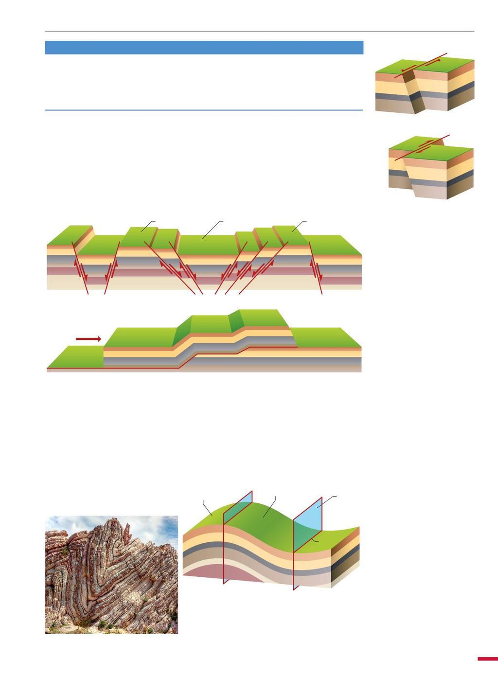La deformazione delle rocce seconda degli spostamenti relativi tra i due blocchi si distinguono tre tipi di faglie: normali o dirette o di distensione;