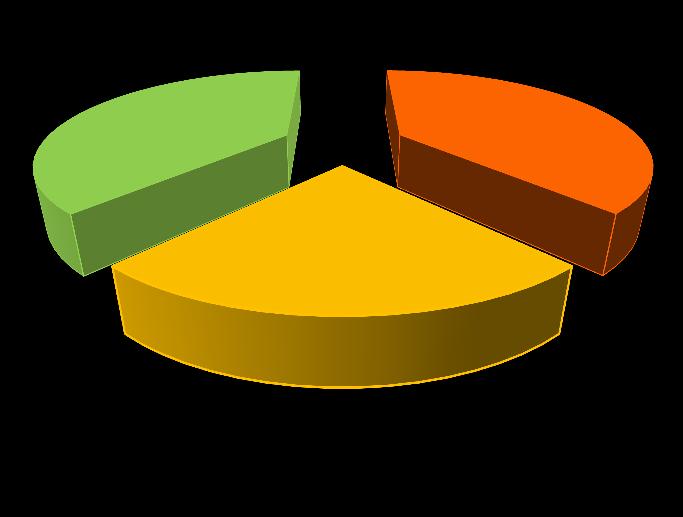 Tipologie di imprese beneficiarie dei finanziamenti erogati attraverso l Avviso 01/2011 Tabella 5. Tipologia Impresa Beneficiaria V.a. % Grande Impresa 9 23 % Media Impresa 15 38 % Piccola Impresa 15 38 % Totale 39 100 % Grafico 4.