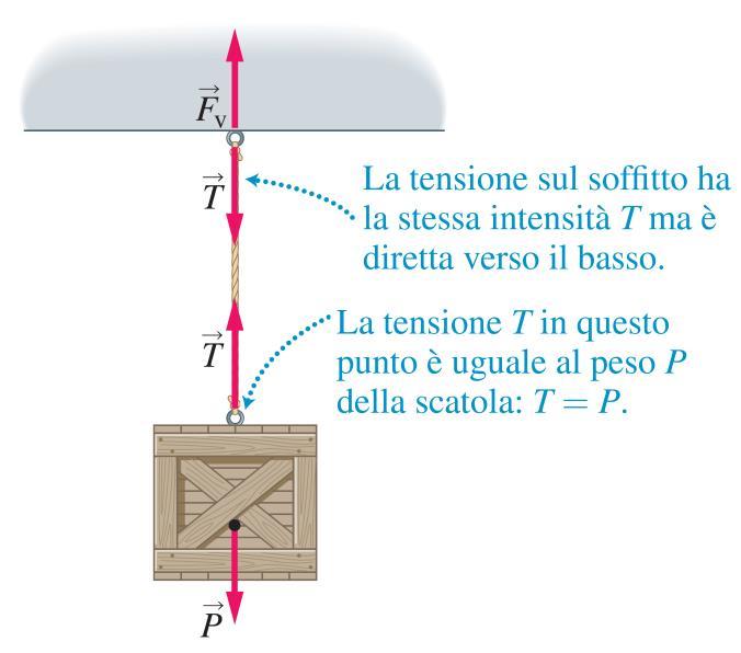 2 L equilibrio di un punto materiale Nel caso di una corda attaccata con un estremo al soffitto e con l altro a una scatola di peso P, la corda agisce da vincolo,