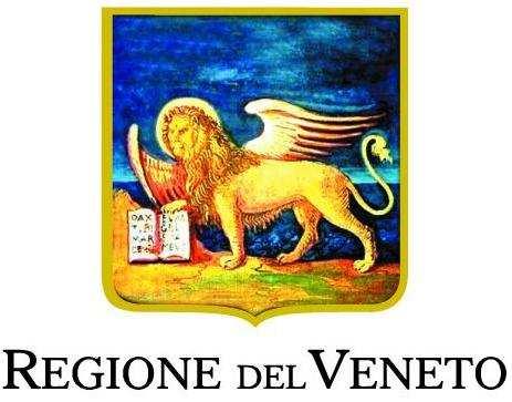 INVESTIAMO POR FSE PER 2014-2020 IL VOSTRO FUTURO Dgr 1358 Work Experience Giunta Regionale-Direzione Formazione Giunta Regionale - Sezione Lavoro Domanda di partecipazione (va rivolta a tutti i