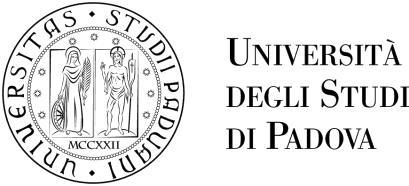 Decreto Rep. n. 1973 Prot. n. 212002 Anno 2019 Tit. VII Cl. 16 Fasc. 20 OGGETTO AVVISO DI PROCEDURA COMPARATIVA N. 2019AC6 PER L INDIVIDUAZIONE DI N.