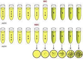 Tecniche per la determinazione in vitro dell'attività antibatterica Minima Concentrazione Battericida - (MBC) La