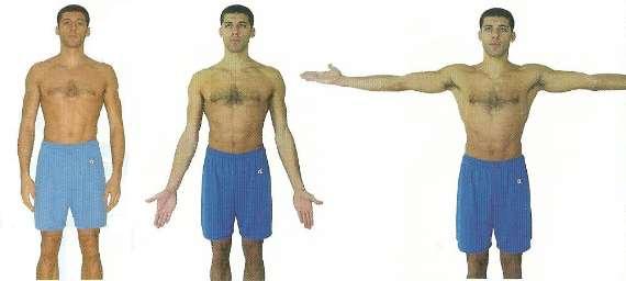 4 Esercizio movimento di Abduzione Questo esercizio si esegue in 3 fasi: Inizialmente si imprime una spinta a braccia tese