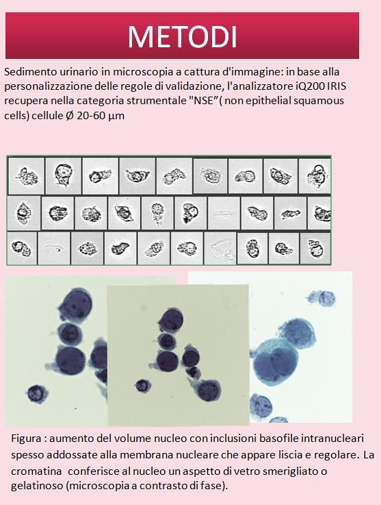 RICONOSCIMENTO DI DECOY CELLS SU CAMPIONI DI