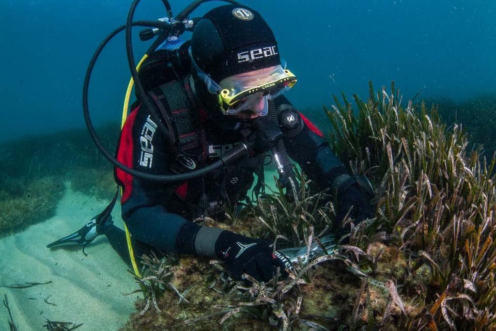 WP9: SITE REMEDIATION 30/04/2018 Gli operatori subacquei CIBM effettuano il rilievo fotografico alla Secca della Croce al fine di completare la raccolta dati per il monitoraggio dei fondi duri,