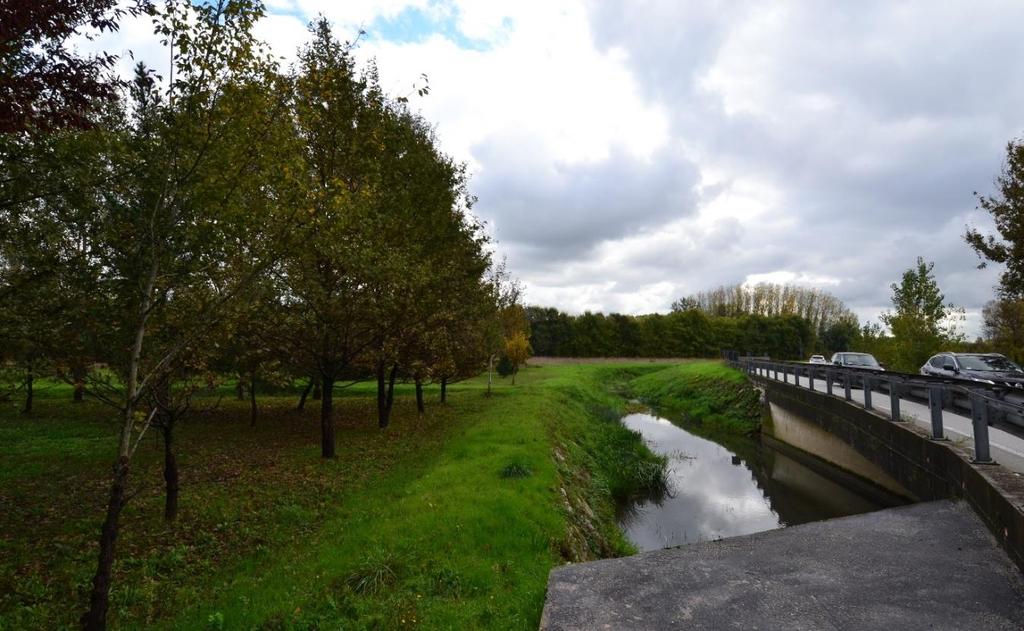 ROTATORIA IN ADEGUAMENTO VIA ROMANA Le immagini mostrano l ambito i cui si inserisce l adeguamento dell esistente rotatoria tra la SP