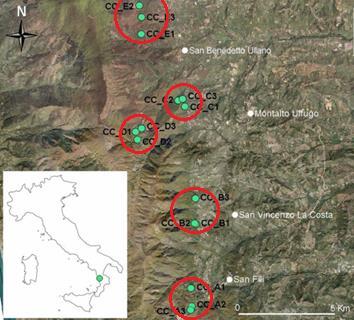 l alternanza di superfici di bosco a diverso stadio di sviluppo (e quindi la maggior