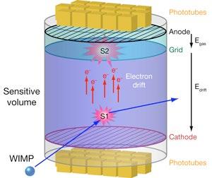 XENON Lo scopo del progetto XENON è quello di rivelare