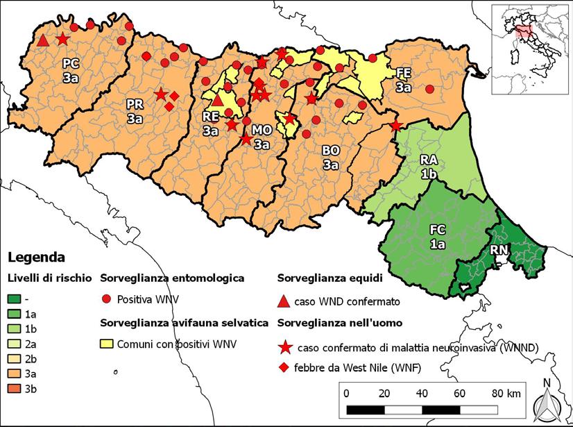 1. Situazione Epidemiologica West Nile virus Le attività di sorveglianza sull avifauna selvatica ed entomologica sono cominciate rispettivamente nel mese di maggio e giugno.