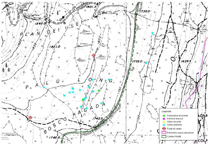 4a (1 A 1 J 1 ) 4b (1 A 1 J 1 ) Fig. 7 Punti di canto nell area campione Campiglio (zona 4). 3.