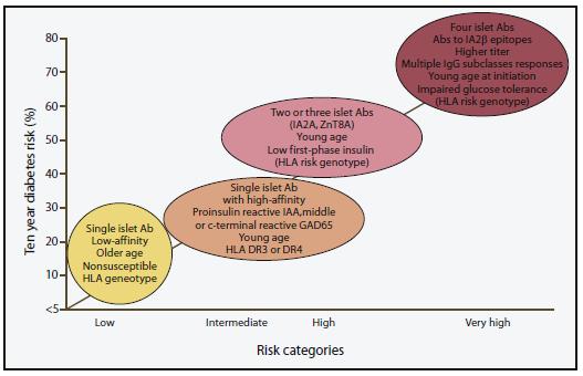 DM1 risk stratification by islet