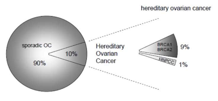 Carcinoma ovarico (OC) Incidenza di 17/100000/anno in Europa