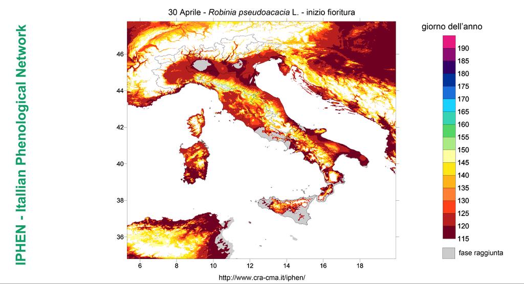 FENOLOGIA ROBINIA PREVISIONE LOCUST TREE FORECAST Fig. 14 Previsione fenologica- inizio fioritura - Robinia peudoacacia L.