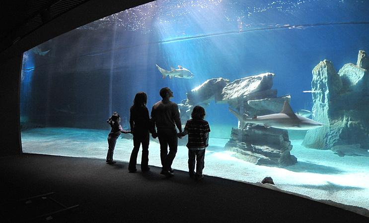 2 Perché visitare l Acquario di Genova? Il giro del mondo in 70 vasche. Con il sole o con la pioggia.