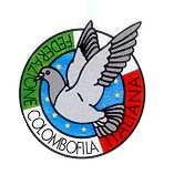 MOSTRA NAZIONALE DEL COLOMBO