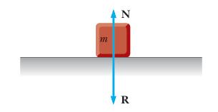 Oggetto appoggiato sul tavolo: La forza peso è bilanciata dalla reazione vincolare z N orza peso a g gu z P Accelerazione di gravità orza associata: orza peso g 9.