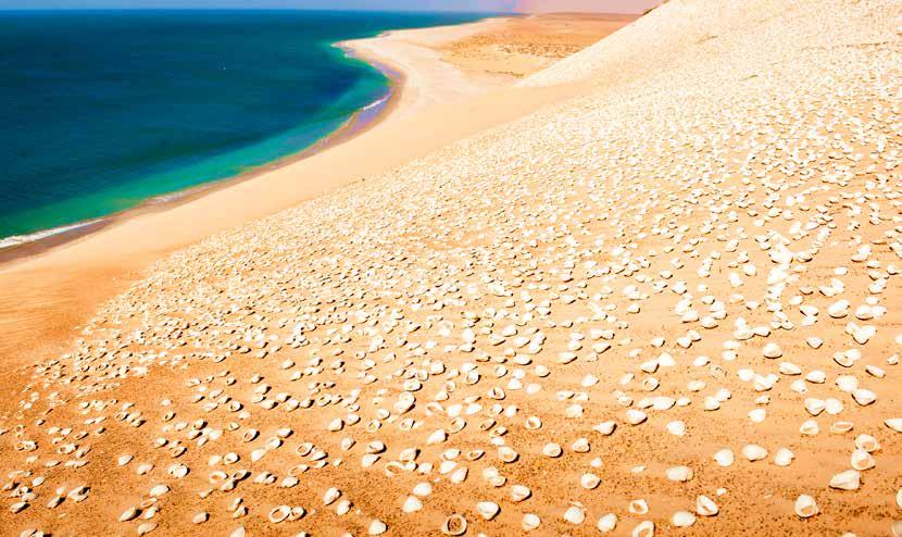 Giorno 8 Nouakchott/Mhaijrat/Costa atlantica/nouakchott Dopo la colazione, partenza verso nord per Mhaijrat, villaggio di pescatori, dove incontreremo le donne