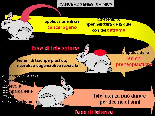 Dose soglia inferiore non provoca