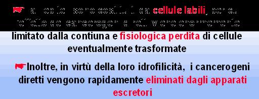 CANCEROGENI DIRETTI Sono genotossici, ossia