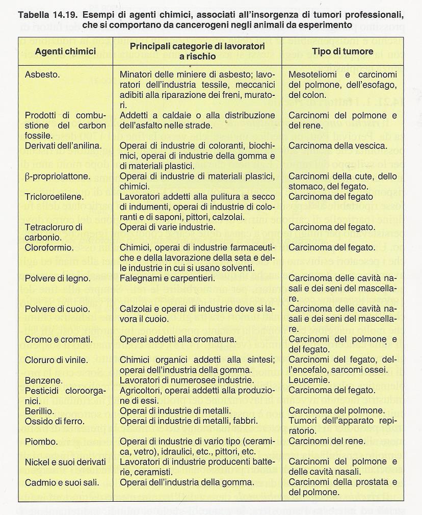 Esempi di agenti chimici RISCHIO ONCOGENICO OCCUPAZIONALE Molti agenti chimici con i quali gli