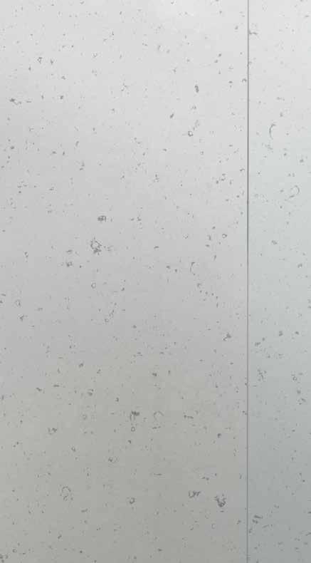 I Vantaggi di Silestone : Q R Progetto su misura Quarzo naturale Resistente agli urti : Grande formato C Ampia