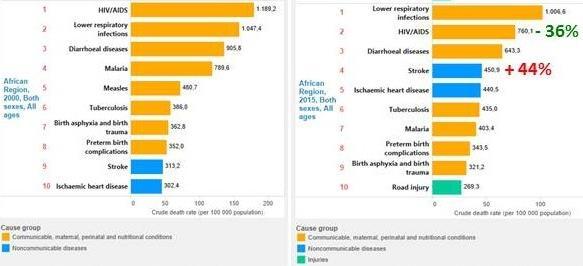 «Boom» delle malattie neurologiche in Africa % 50 40 30 20 2008 2015 2030 10 0 In Africa le malattie neurologiche sono divenute la quarta causa di morte Uccidono più della malaria e