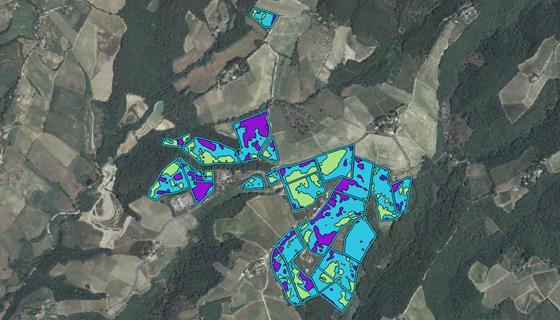 Produzione Mappe NDVI Nel 2011 Ruffino ha intrapreso un