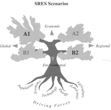 Quale futuro? scenari di emissione IPCC (2000) Special Report: Emission Scenarios www.ipcc.