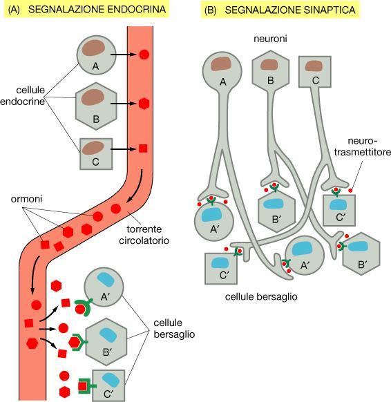 Sistemi di