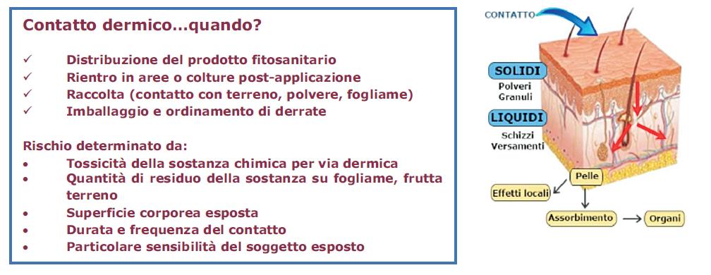 Esempio. Intossicazione da prodotti fitosanitari (PF).