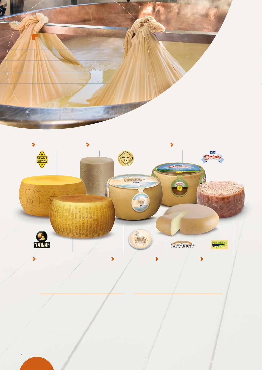 I FORMAGGI IN GAMMA THE CHEESE RANGE Grana Padano Pecorino Romano Doronico Parmigiano Reggiano Spinoro Pastamore Pecorino Sardo La nostra selezione Our cheese selection La nostra gamma comprende