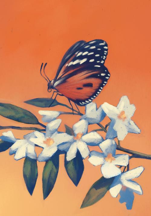 RAGAZZI 978-88-99268-33-6 FUAD DELLE FARFALLE di Lina Maria Ugolini «La farfalla si scosse dal gelsomino e tornò a volare. Cosa era l amore? Era un fiore su cui posarsi o era il cielo?