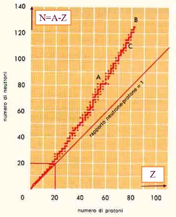 La valle di stabilità nucleare > >N > >Z Isotopi: stesso n.protoni Z diverso n.