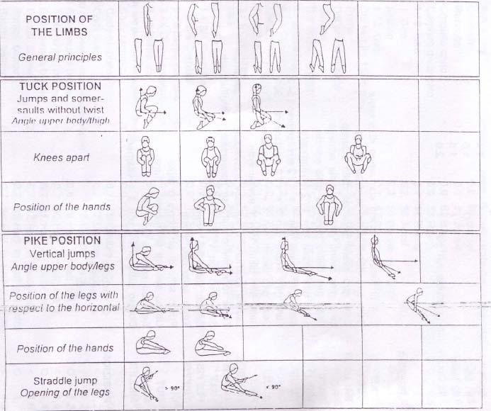 POSIZIONE BRACCIA E GAMBE POSIZIONE RACCOLTA POSIZIONE GINOCCHIA POSIZIONE MANI POSIZIONE CARPIATA POSIZIONE GAMBE