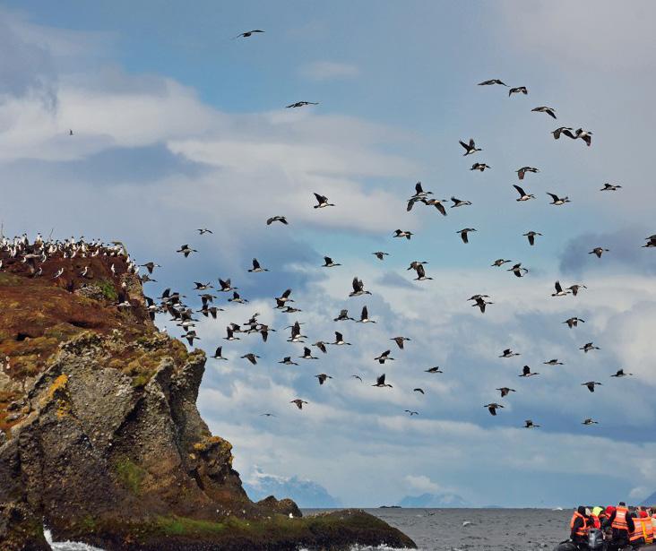 scientifici rigorosi e accurati, per inventariare le biodiversità, monitorare e comprendere meglio l evoluzione del territorio.