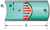 FENOMENI NATURALI DESCRITTI DA FUNZIONI QUADRATICHE La legge di POISEUILLE In un tratto di vena in buone condizioni, approssimato con un cilindro,
