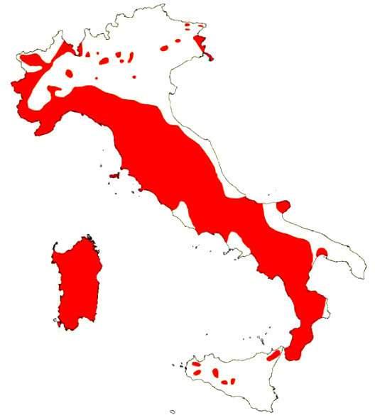 Status specifico Distribuzione in Italia In relazione alla sua ampia valenza ecologica e alle notevoli manipolazioni operate sulle popolazioni dall uomo, il cinghiale è l ungulato che attualmente