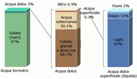 DISTRIBUZIONE DELL ACQUA Ladisponibilitàtotalemondialed'acquaèperil 97%salata. Il 69% di acqua dolce è bloccata nei ghiacci delle calotte e dei ghiacciai. Un altro 30% è sotto terra.