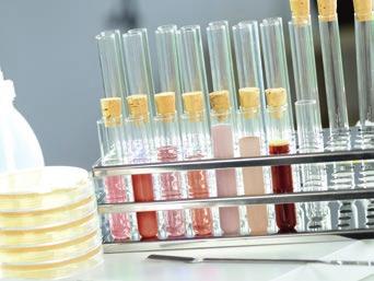 Nel laboratorio centrale di, degli esperti qualificati analizzano con attrezzature e tecniche all avanguardia le materia prime e tutti i ingredienti impiegati.