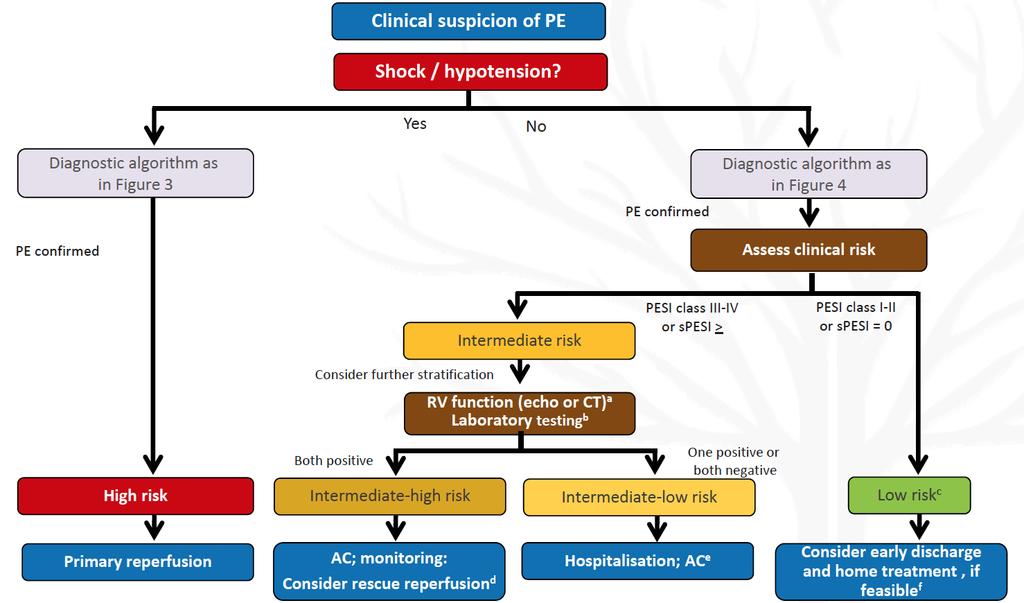 PE risk stra:fica:on