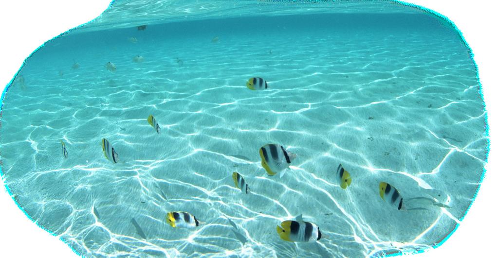 Hai pensato al gasolio consumato dai tir che distribuiscono le bottiglie d acqua nella nostra penisola?