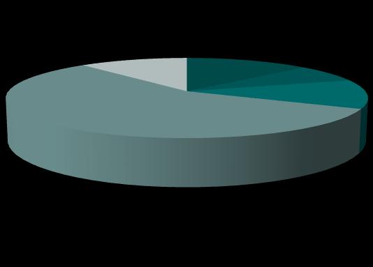 ASSET CLASS EQUITIES (senza look-through dei sottostanti ) Equity allocation Equities 24.2% Equity breakdown Europe 3.2% USA 1.7% Japan 0.0% Emerging 2.