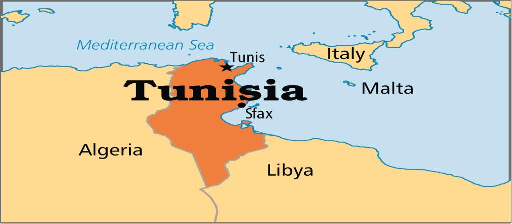 International Credit Mobility KA107 Tunisia Window A partire dalla scorsa Call, è previsto uno stanziamento di 10 Milioni totali di Euro destinati alla Tunisia per incentivare un incremento della